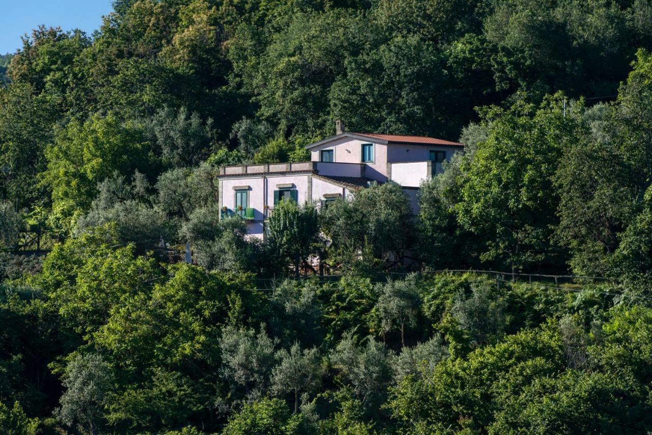 Il Casale Sorrento Hotell Exteriör bild