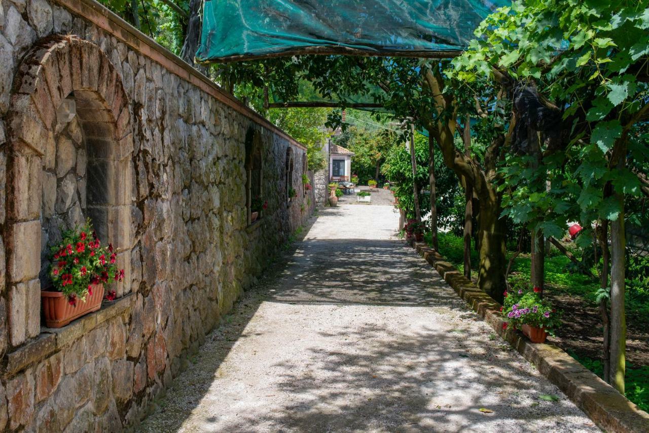 Il Casale Sorrento Hotell Exteriör bild